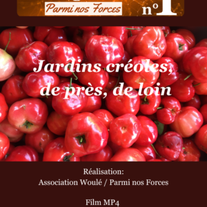 Regards n°1 Jardins créoles, de près, de loin